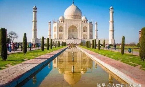 王不留行籽功效主治-王不留行籽功效主治专区_王不留行籽功效与作用专区_王不留行籽功效网