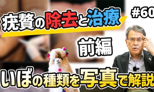 王不留行籽功效与作用的功能与主治-王不留行籽功效主治专区_王不留行籽功效与作用专区_王不留行籽功效网